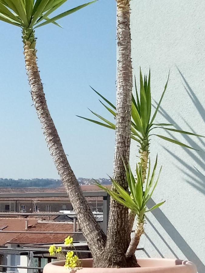 Hotel Chiaraluna Civitanova Marche Extérieur photo